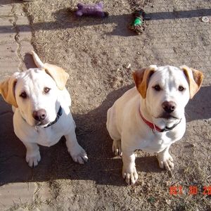 Meet your Posher, Laurel